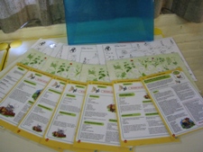 zo_smaakt_een_kampterrein.jpg zo smaakt een kampterrein